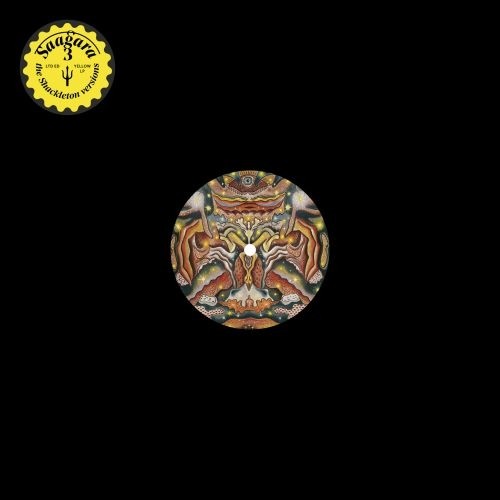 Saagara - 3 The Shackleton Versions LP