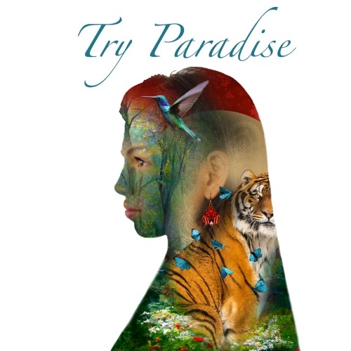 Try Paradise - Try Paradise CD