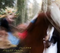 Vorschau: Celenka - Villoi varsa CD Vorschau: Celenka - Villoi varsa CD