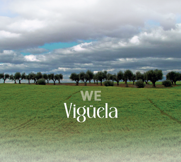 Vigüela - We CD